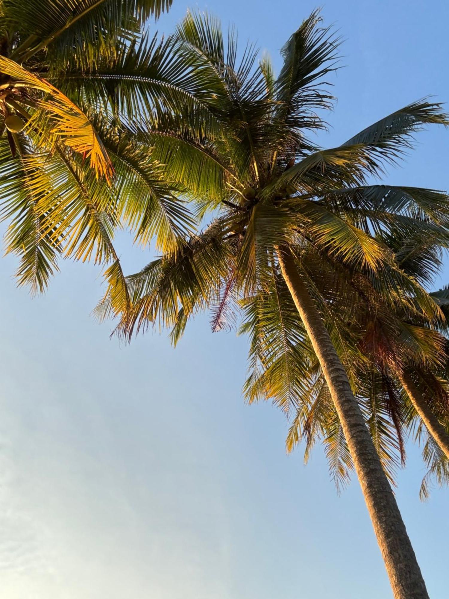 Coco Canopy Boutique Resort Кох-Юм Экстерьер фото